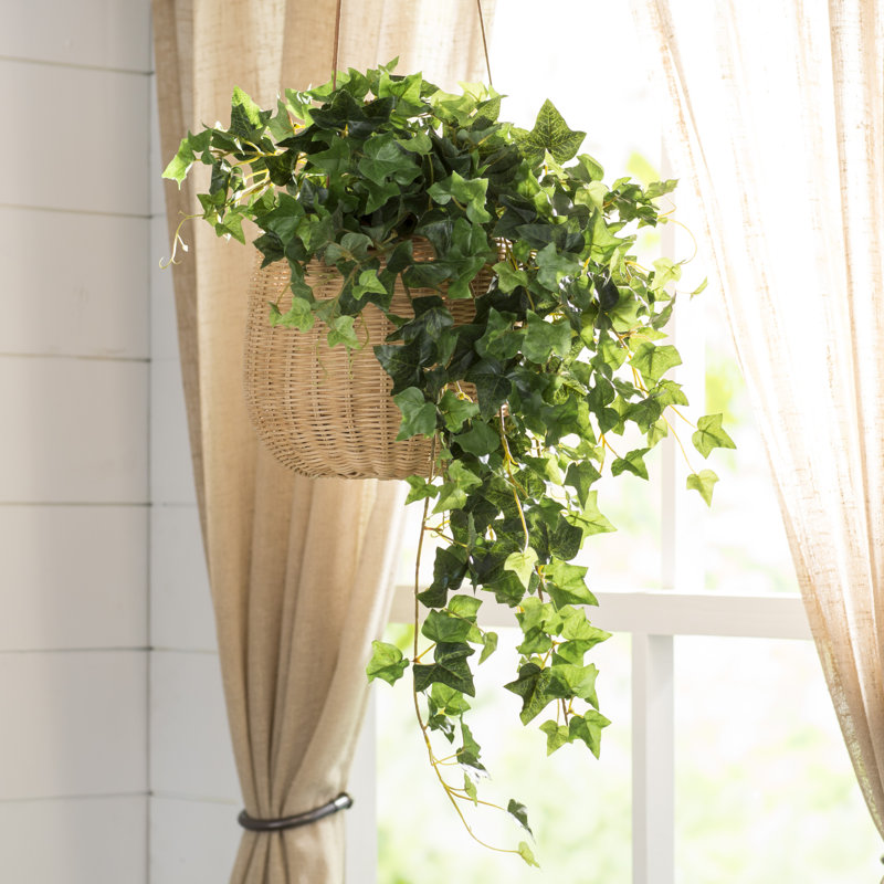 Laurel Foundry Modern Farmhouse 26'' Faux Ivy Plant & Reviews Wayfair